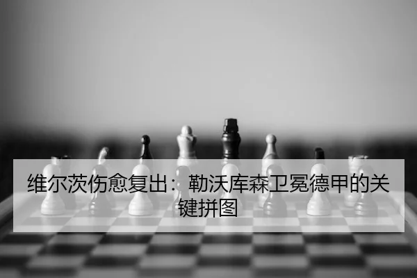 wei-er-ci-shang-yu-fu-chu-lei-wo-ku-sen-wei-mian-de-jia-de-guan-jian-pin-tu-2-583.jpg